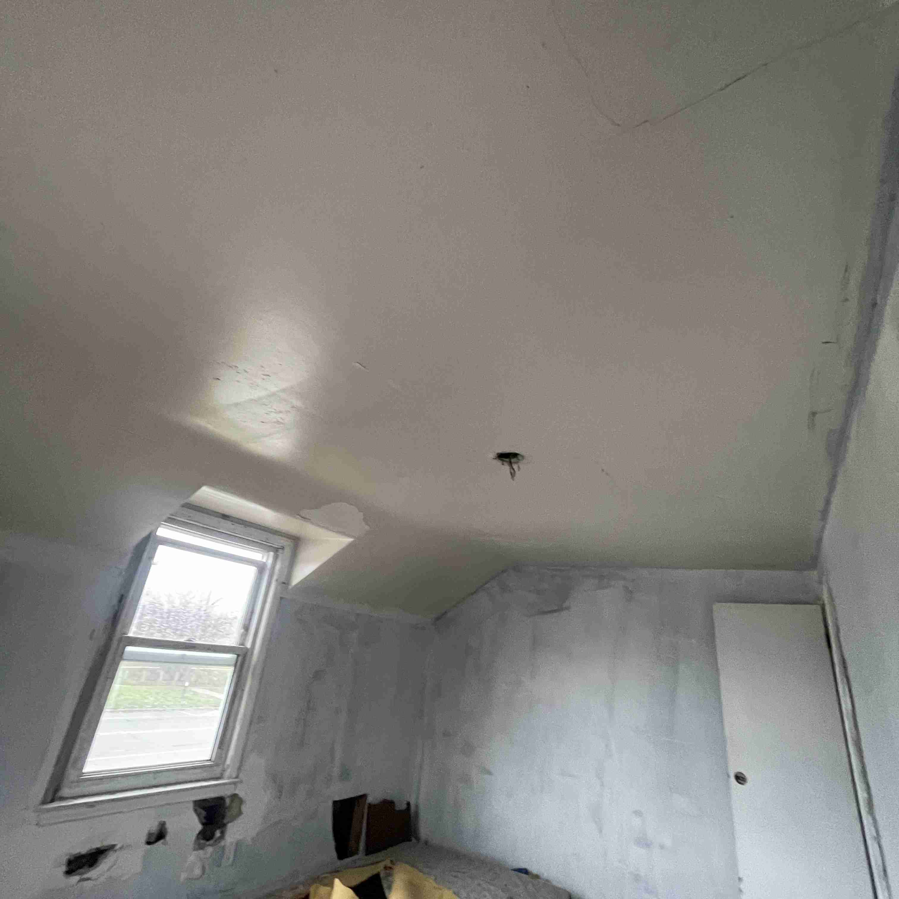 20017 Schoenherr (82).jpg